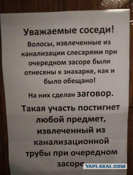 Жыпеги разные нужны 22.11.19