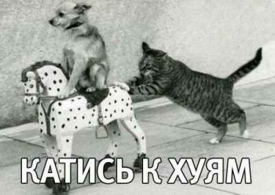 Дима! Помаши рукой маме!