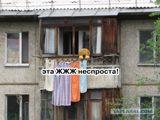 Конкурс: подпись к картинке