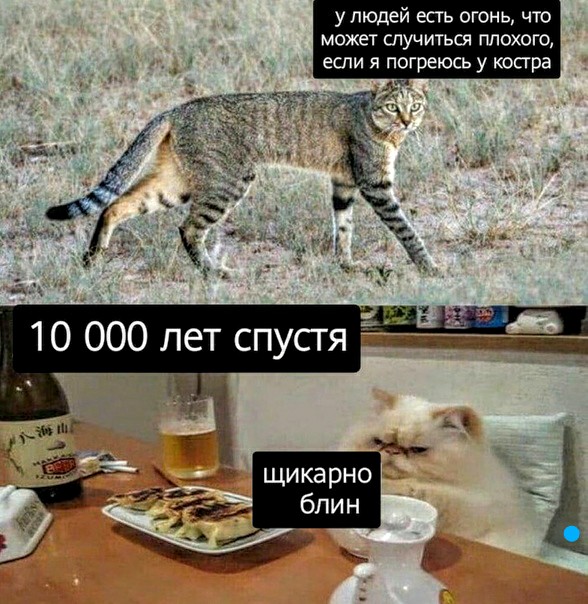 Немного картинок для настроения 30.05.20