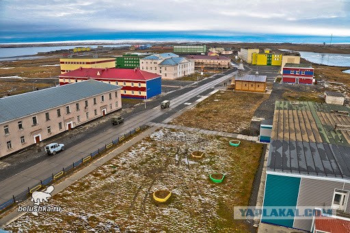 Почему жители поселка "Белушья Губа" должны оставлять двери машин и подъездов открытыми