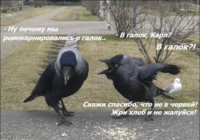 Картинки и буквы 11.10.20