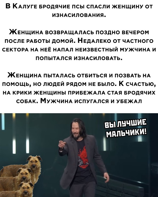 Бредзона 20.10.2020