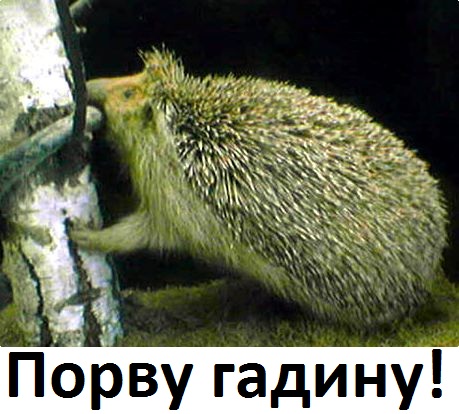Фотожаба: А ты?