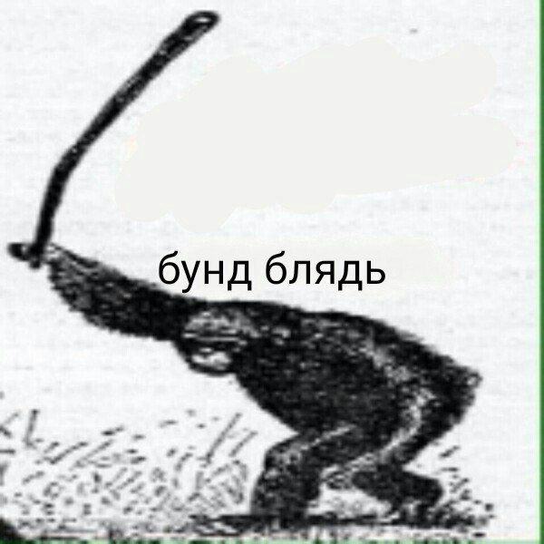Пригожин призвал к борьбе с блогерами, которые отбирают "хлеб" у артистов