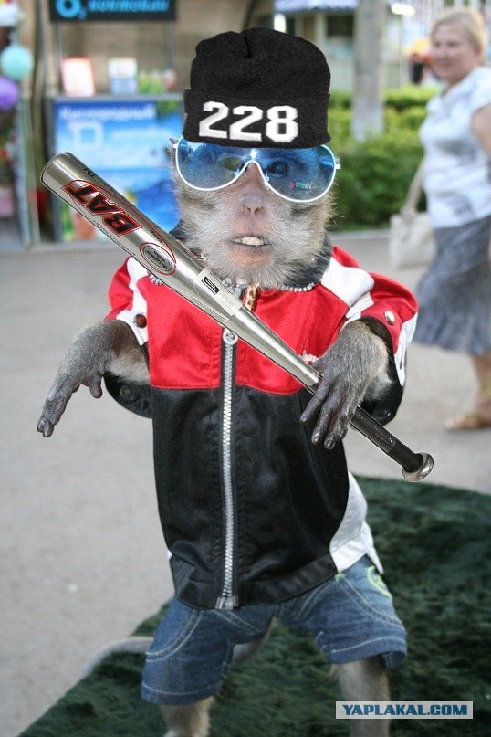 пацаны ваще ребята