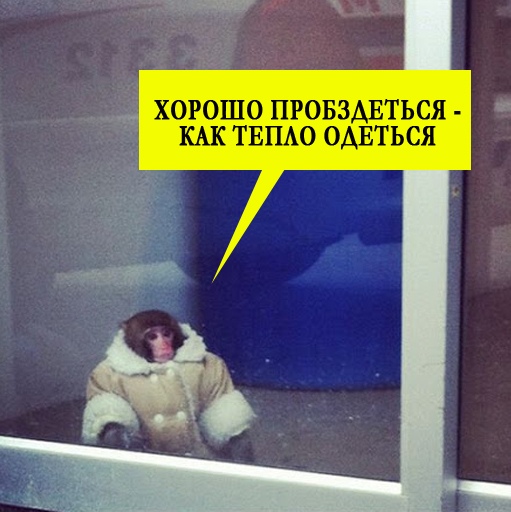 Так себе картинки 04.02.21