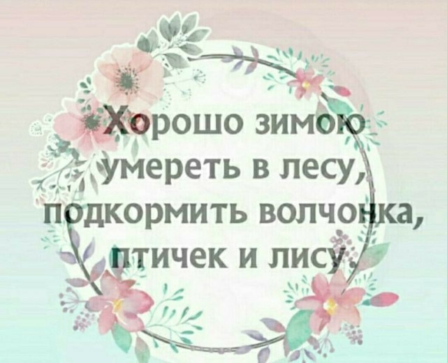 Дебилизмы из сети 04.02.21