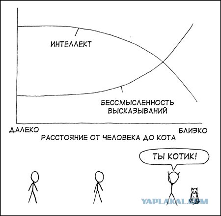 Кошачья находчивость