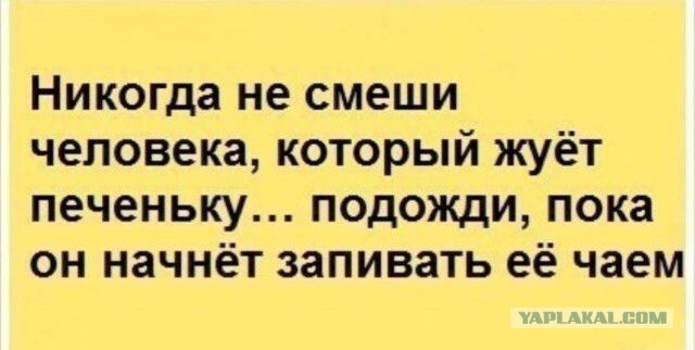 Фотки и картинки: юморные и красивые, забавные и милые 20.04.21