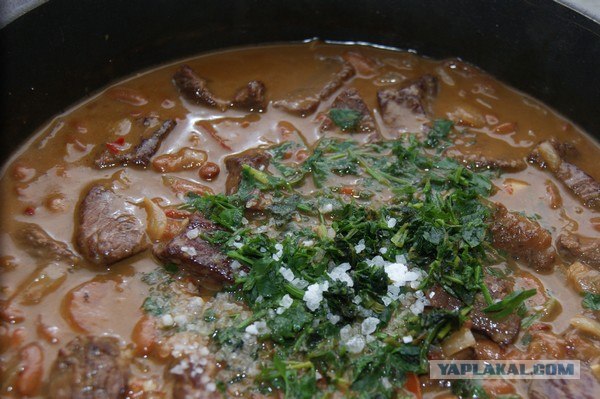 Фасоль – International, Или «Веселые нотки»