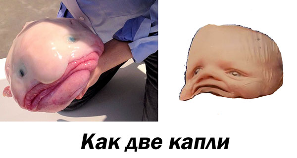 17 грубых ошибок в дизайне, которые совершили одни, а смешно всем остальным