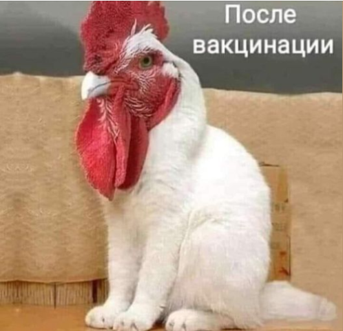 Баянисто-небаянистый юмор. 13.09.21