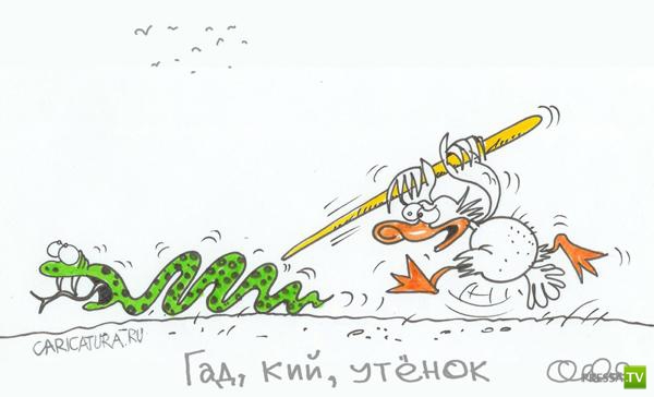Картинки и мемы для настроения