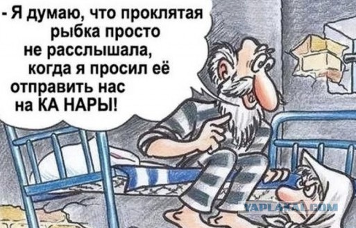 Чуток картинок 12.01.2022