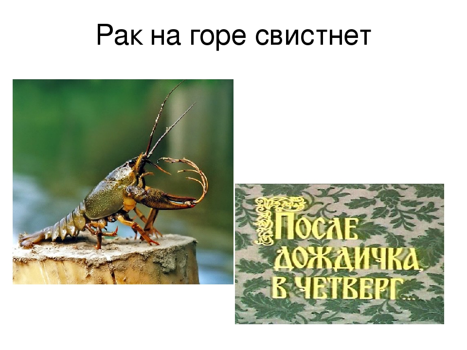 Рак на горе