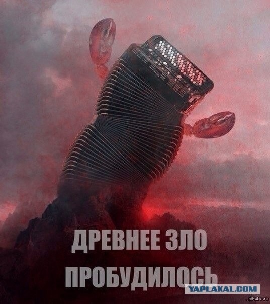 Интересный сбор апельсинов в испанской Валенсии
