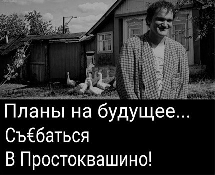 Юмор. Мемы
