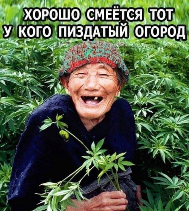 Так себе картинки 11.04.22