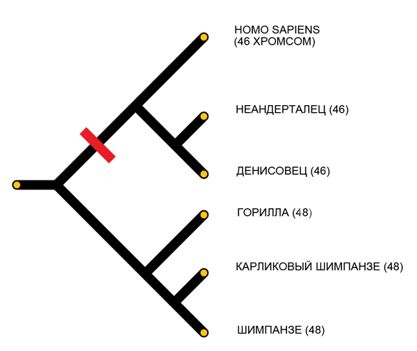 Пятиметровый слой вечной мерзлоты растаял и обнажил остов древнего корабля