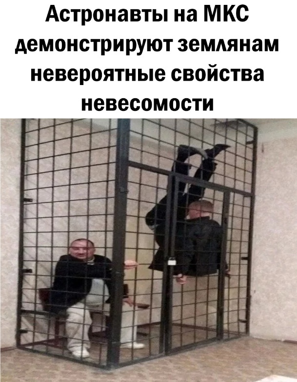 Так себе картинки 13.07.22