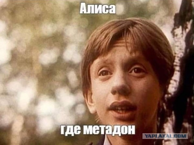 Чем выше градус, тем короче мини!