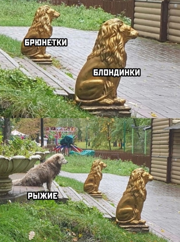Весёлый полтишок 04.11.22