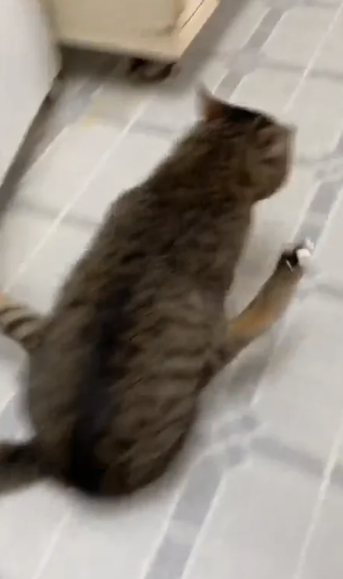 Фильм ужасов в ТЦ