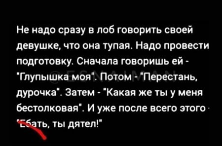 Так себе картинки 20.11.23