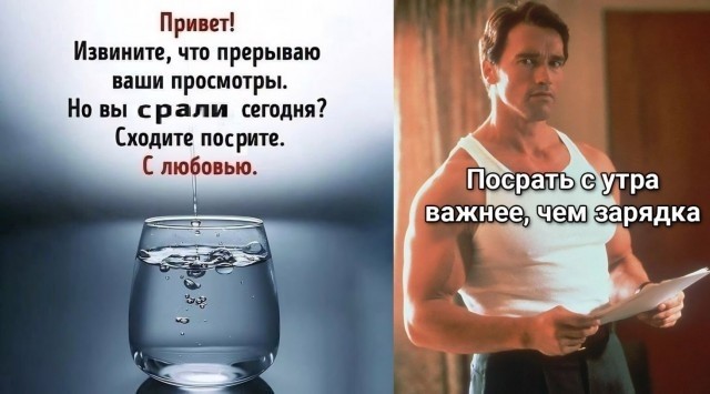 Деградильня