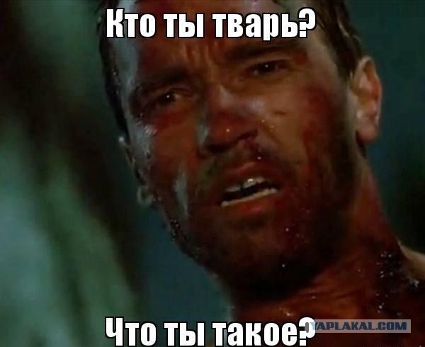 14 мая в Пахачах мокрая метель