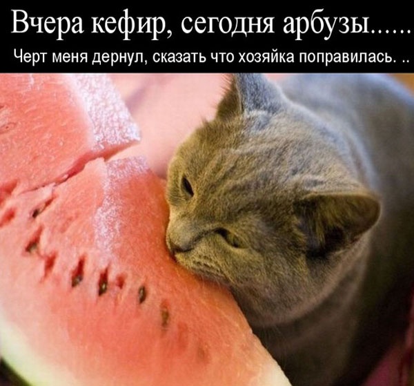 Так себе картинки 12.06.24