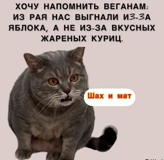 Так себе картинки 10.07.24