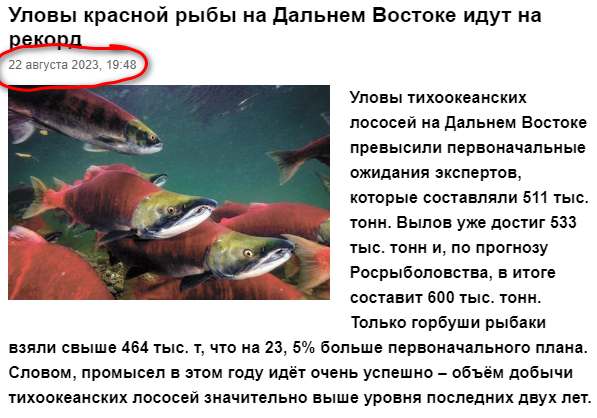 Ну вот сюрприз к Новому Году...