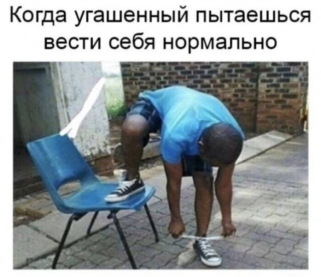 Так себе картинки 25.10.24