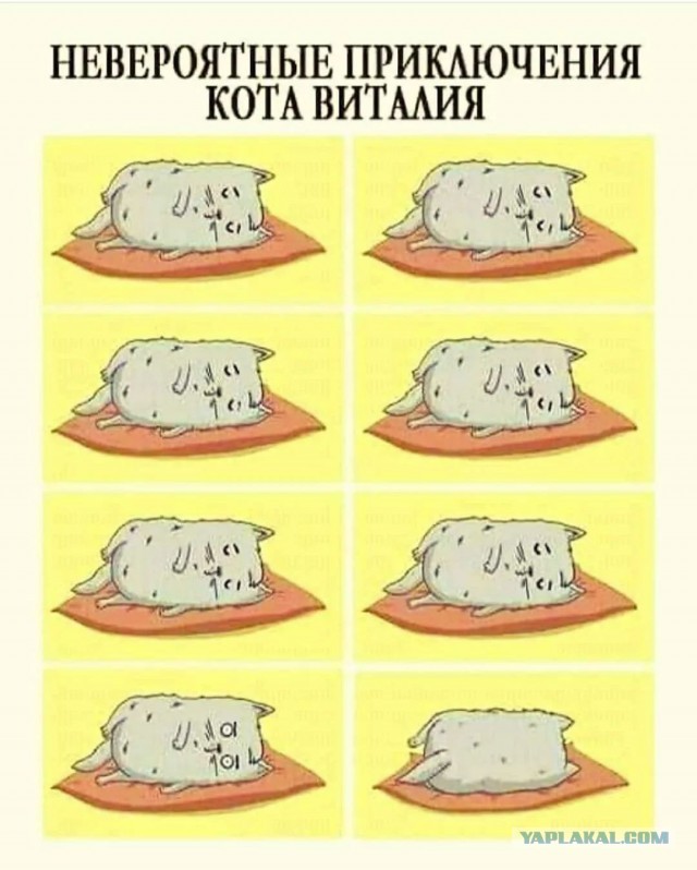 Завалялось тут случайно немного забавных картинок