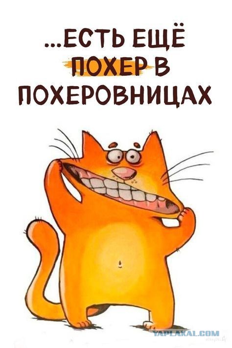 Сборник Баянов
