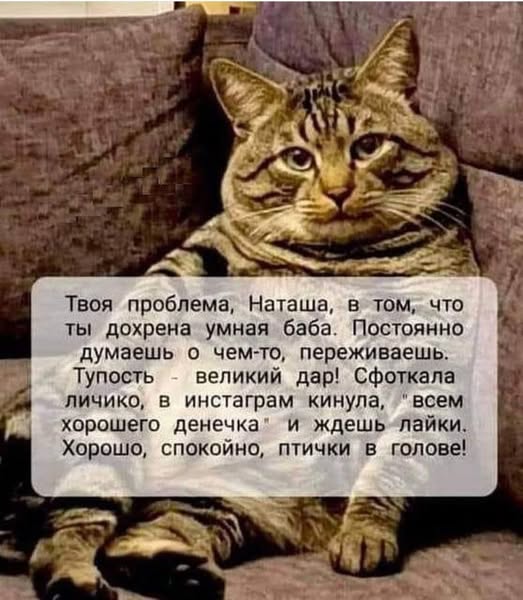 Так себе картинки 04.03.25