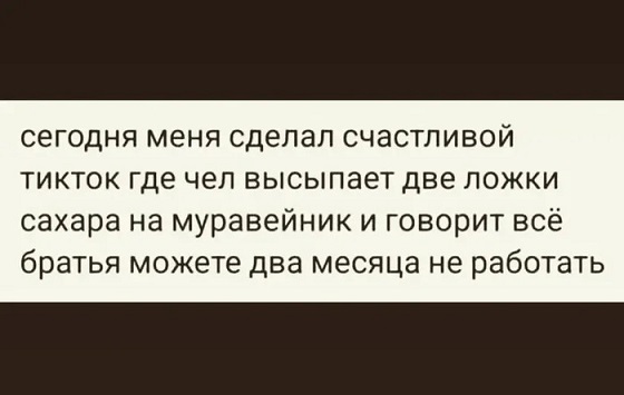 Хорошо, когда отдохнул на природе