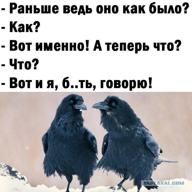 Суд заочно арестовал Юрия Дудя по делу об уклонении от обязанностей «иноагента».