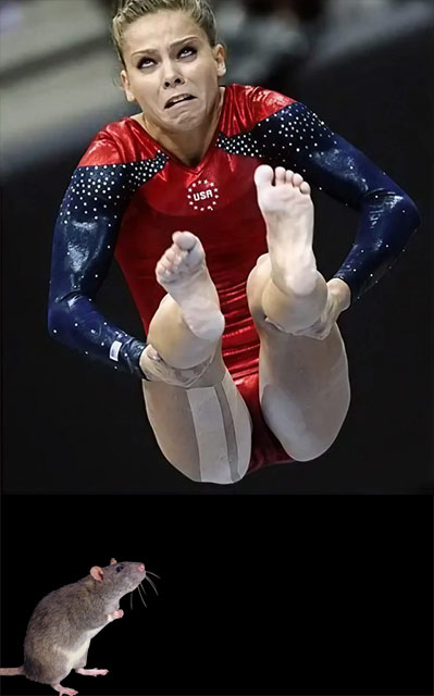 Фотожаба Гимнасточка