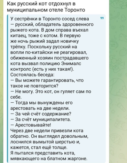 Картинки для деградации 99 (разной степени свежести)