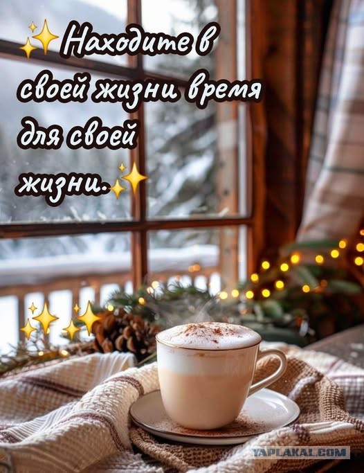 Картиночки, баянчики 08 декабря
