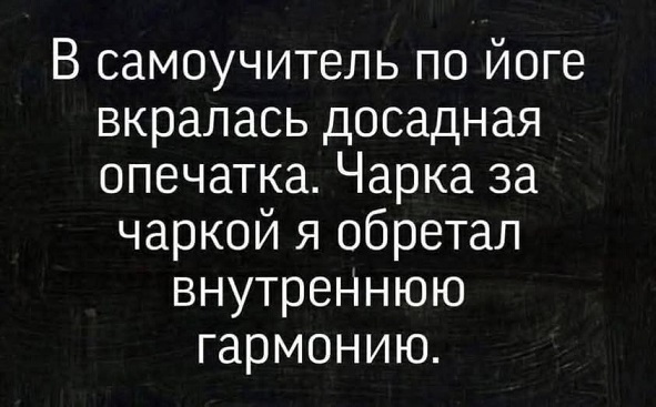 Мой кот