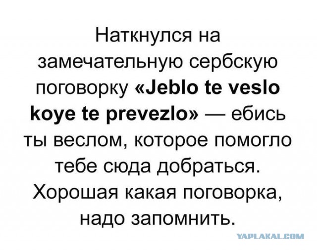 Картинки для деградации 132 (разной степени свежести)