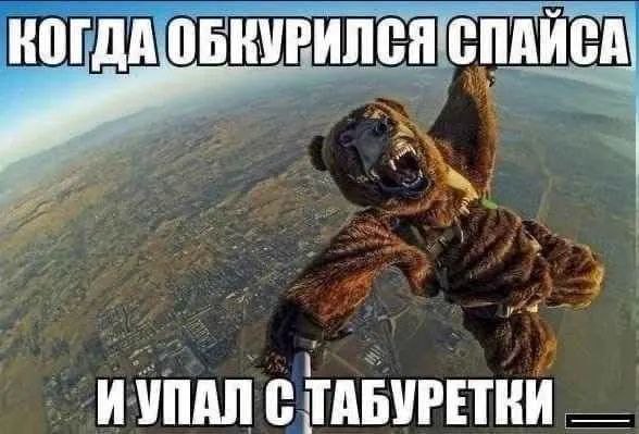 Дегрономикон. Чёртова дюжина