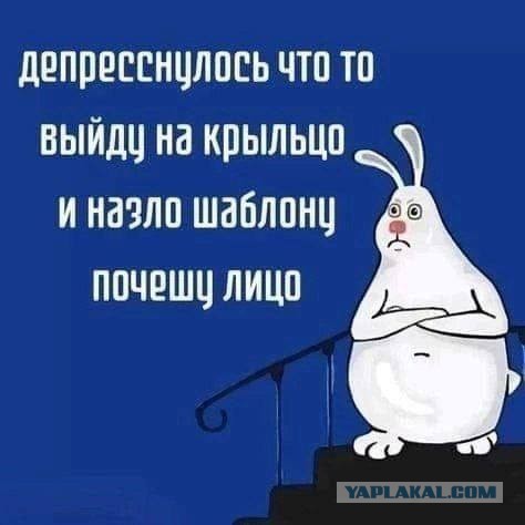 Картинки для деградации 174 (разной степени свежести)