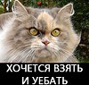 «Культурная» Мадам