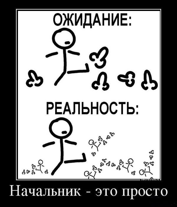 Ленивые сотрудники чаще становятся руководителями