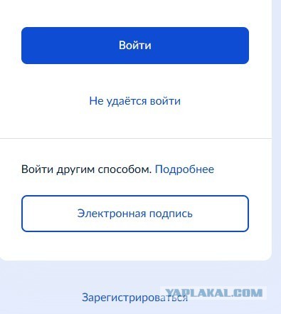 Выборы онлайн